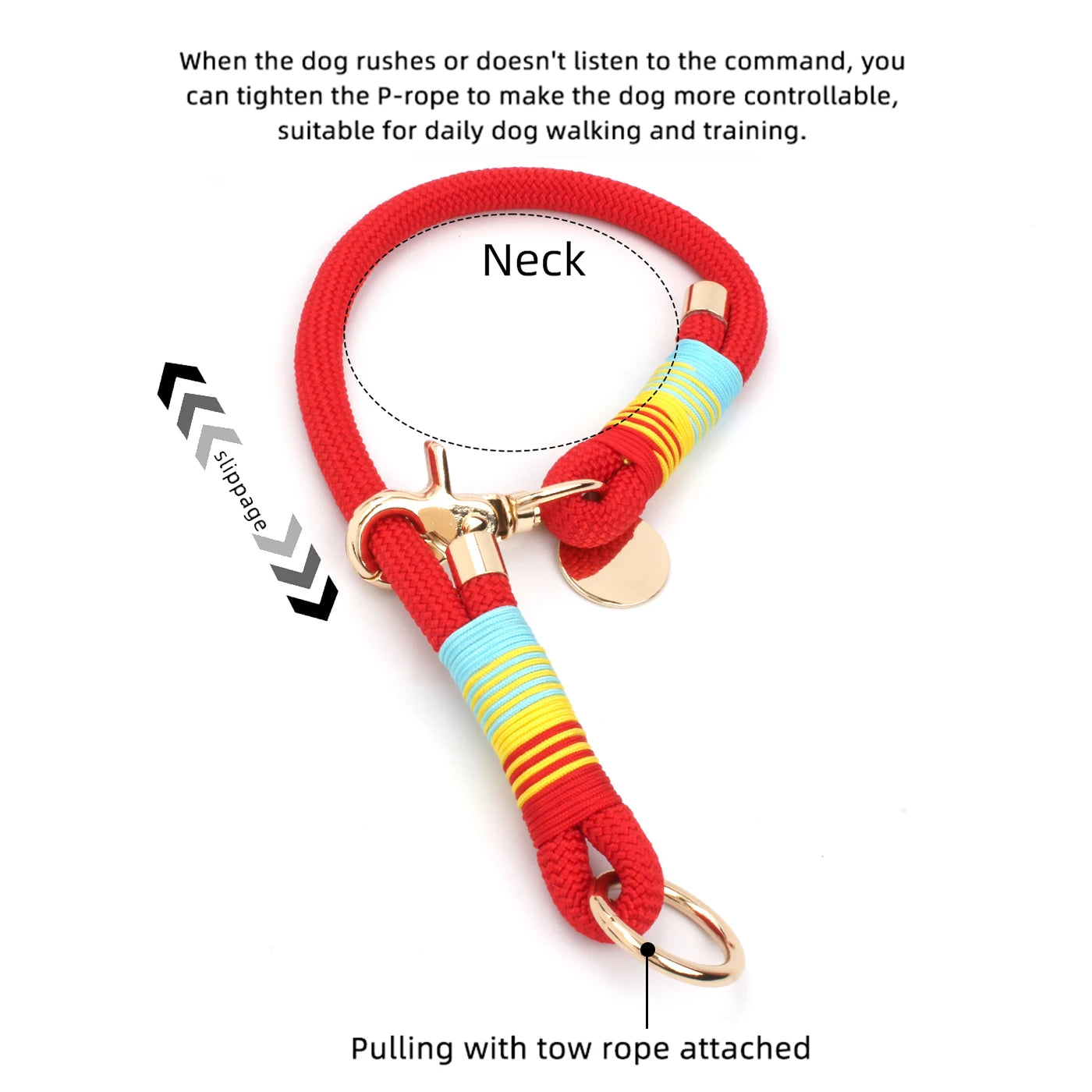 Color Rush Collection