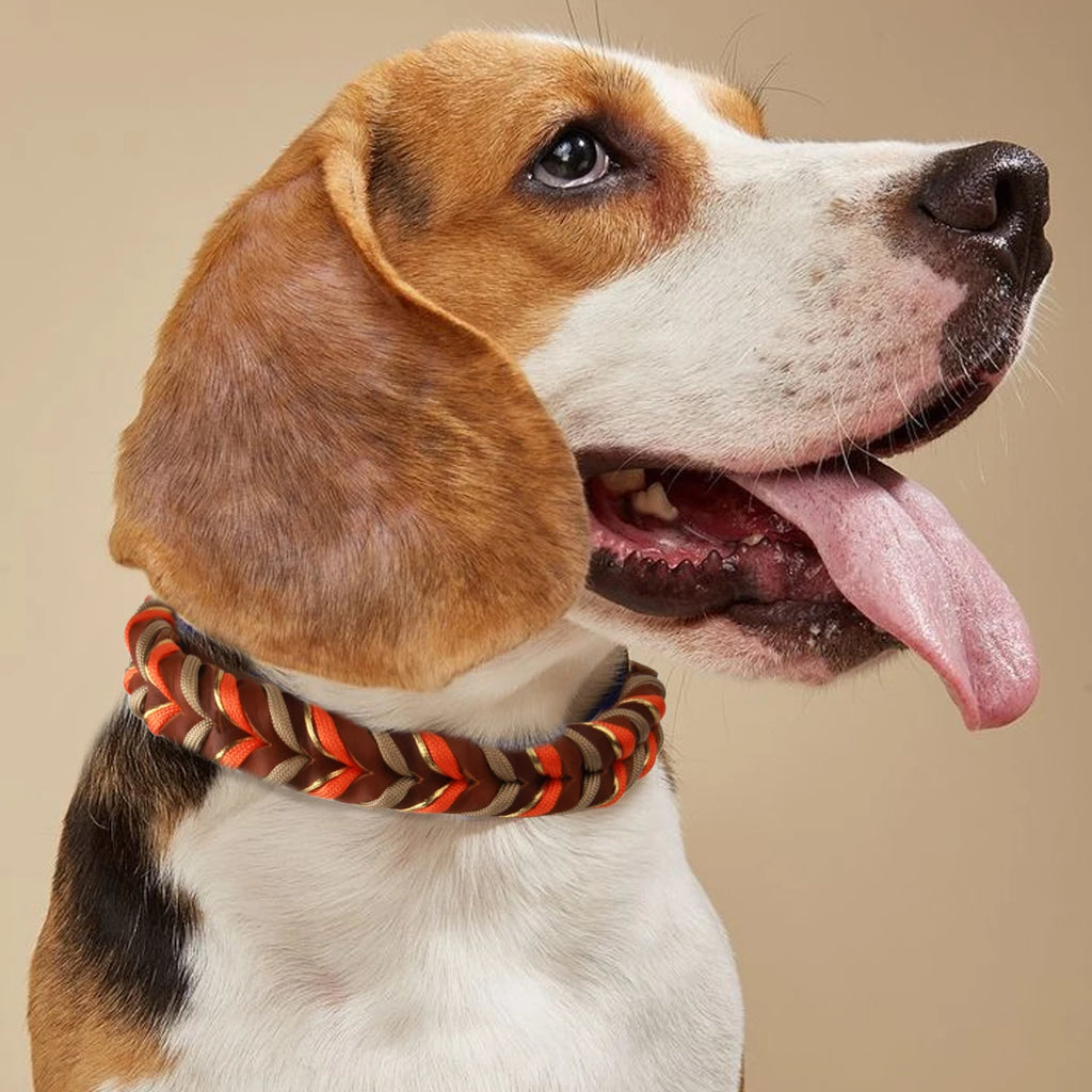 Freedom Braid Collection