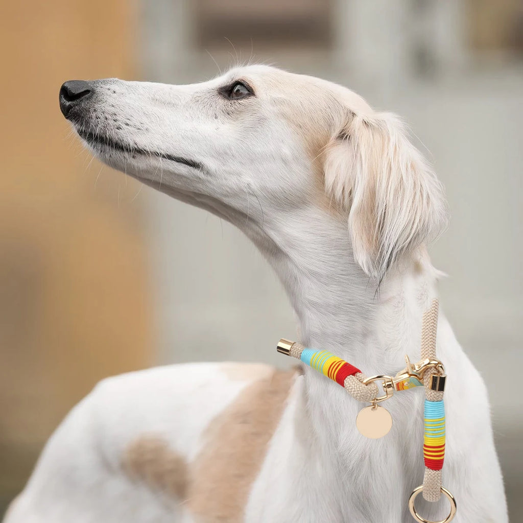 Color Rush Collection