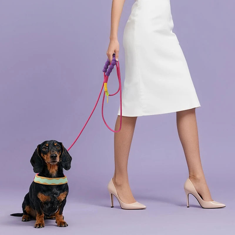 MovePop Air Harness